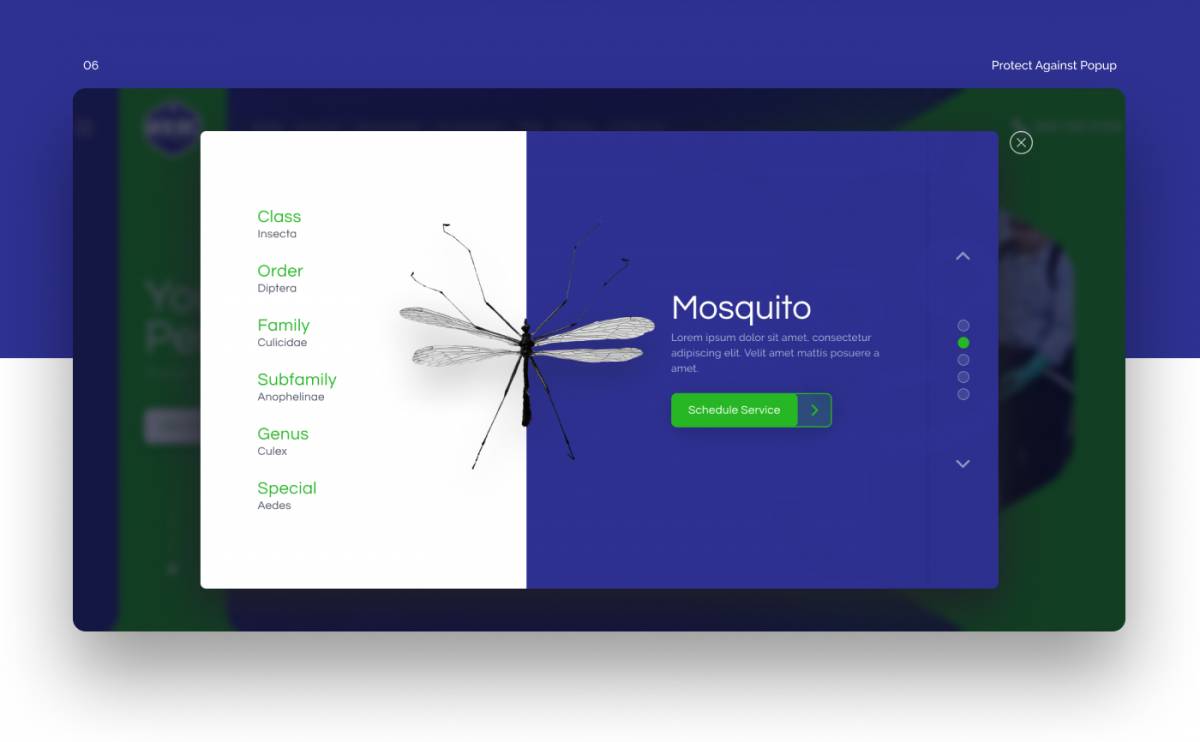 undefined — project image