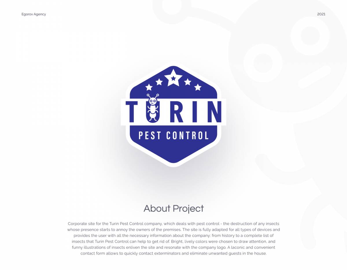 undefined — project image